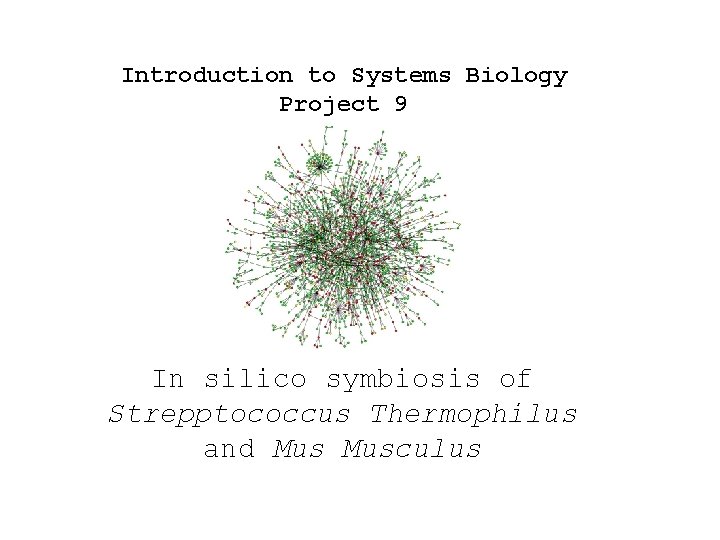 Introduction to Systems Biology Project 9 In silico symbiosis of Strepptococcus Thermophilus and Musculus