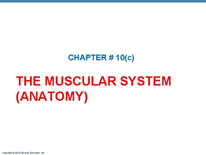CHAPTER # 10(c) THE MUSCULAR SYSTEM (ANATOMY) Copyright © 2010 Pearson Education, Inc. CHAPTER # 10(c) THE MUSCULAR SYSTEM (ANATOMY) Copyright © 2010 Pearson Education, Inc.