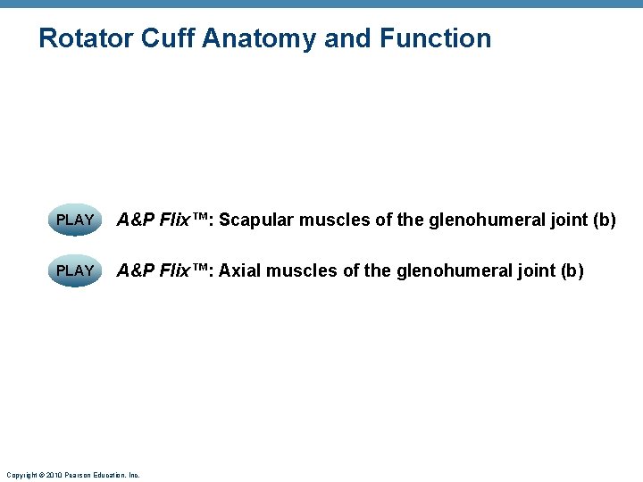Rotator Cuff Anatomy and Function PLAY A&P Flix™: Scapular muscles of the glenohumeral joint Rotator Cuff Anatomy and Function PLAY A&P Flix™: Scapular muscles of the glenohumeral joint