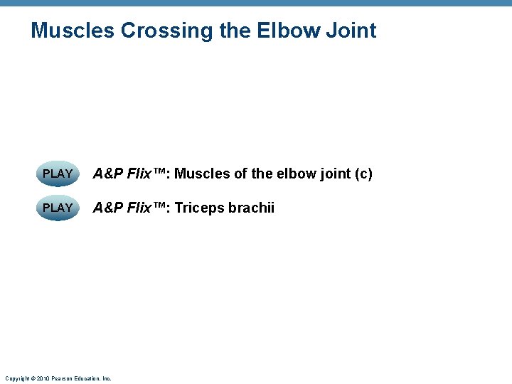Muscles Crossing the Elbow Joint PLAY A&P Flix™: Muscles of the elbow joint (c) Muscles Crossing the Elbow Joint PLAY A&P Flix™: Muscles of the elbow joint (c)