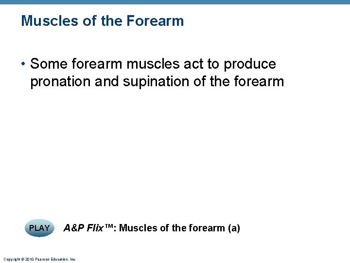 Muscles of the Forearm • Some forearm muscles act to produce pronation and supination Muscles of the Forearm • Some forearm muscles act to produce pronation and supination