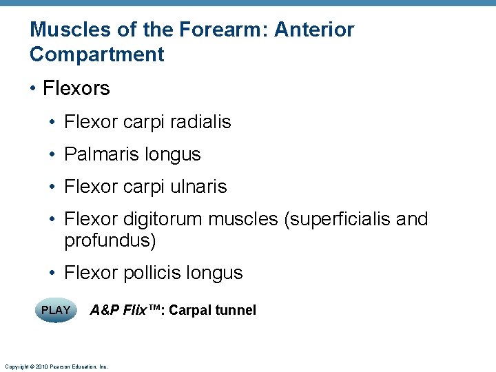 Muscles of the Forearm: Anterior Compartment • Flexors • Flexor carpi radialis • Palmaris Muscles of the Forearm: Anterior Compartment • Flexors • Flexor carpi radialis • Palmaris