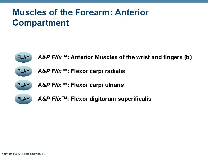 Muscles of the Forearm: Anterior Compartment PLAY A&P Flix™: Anterior Muscles of the wrist Muscles of the Forearm: Anterior Compartment PLAY A&P Flix™: Anterior Muscles of the wrist