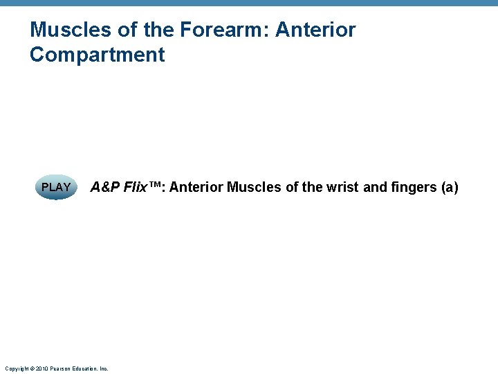 Muscles of the Forearm: Anterior Compartment PLAY A&P Flix™: Anterior Muscles of the wrist Muscles of the Forearm: Anterior Compartment PLAY A&P Flix™: Anterior Muscles of the wrist