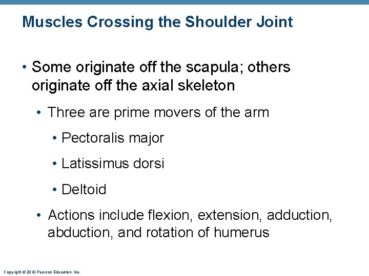 Muscles Crossing the Shoulder Joint • Some originate off the scapula; others originate off Muscles Crossing the Shoulder Joint • Some originate off the scapula; others originate off
