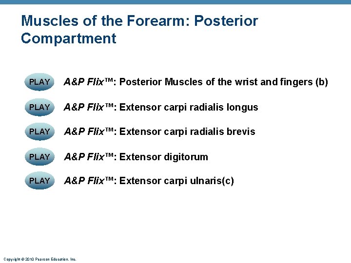 Muscles of the Forearm: Posterior Compartment PLAY A&P Flix™: Posterior Muscles of the wrist Muscles of the Forearm: Posterior Compartment PLAY A&P Flix™: Posterior Muscles of the wrist