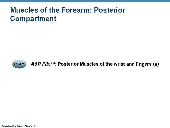 Muscles of the Forearm: Posterior Compartment PLAY A&P Flix™: Posterior Muscles of the wrist Muscles of the Forearm: Posterior Compartment PLAY A&P Flix™: Posterior Muscles of the wrist