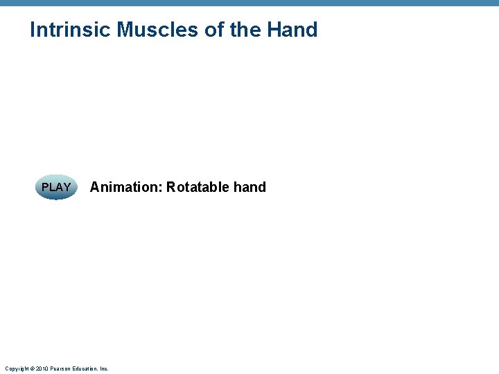 Intrinsic Muscles of the Hand PLAY Animation: Rotatable hand Copyright © 2010 Pearson Education, Intrinsic Muscles of the Hand PLAY Animation: Rotatable hand Copyright © 2010 Pearson Education,