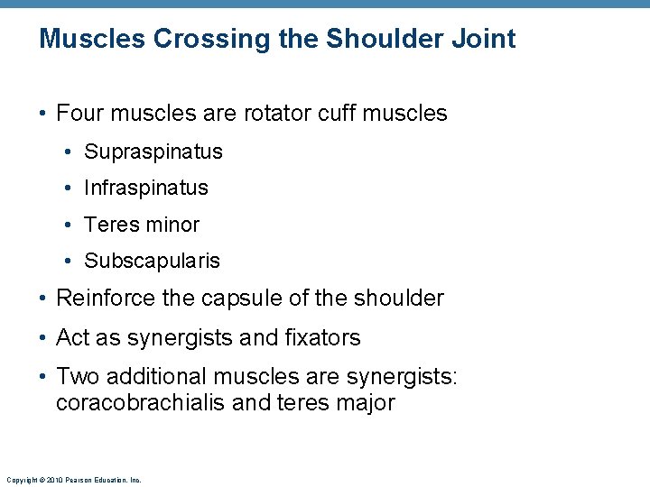 Muscles Crossing the Shoulder Joint • Four muscles are rotator cuff muscles • Supraspinatus Muscles Crossing the Shoulder Joint • Four muscles are rotator cuff muscles • Supraspinatus
