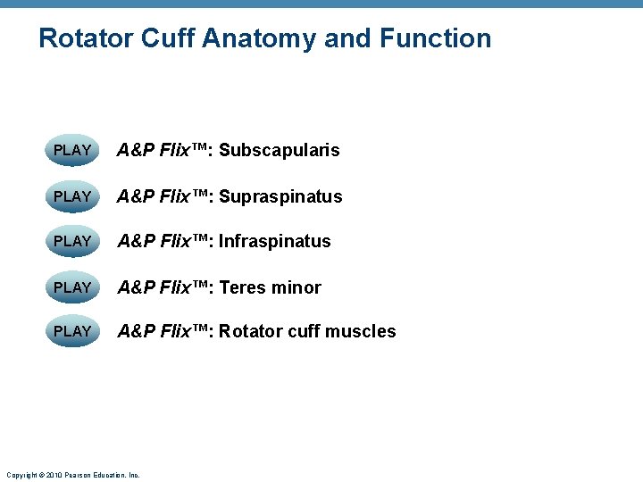 Rotator Cuff Anatomy and Function PLAY A&P Flix™: Subscapularis PLAY A&P Flix™: Supraspinatus PLAY Rotator Cuff Anatomy and Function PLAY A&P Flix™: Subscapularis PLAY A&P Flix™: Supraspinatus PLAY