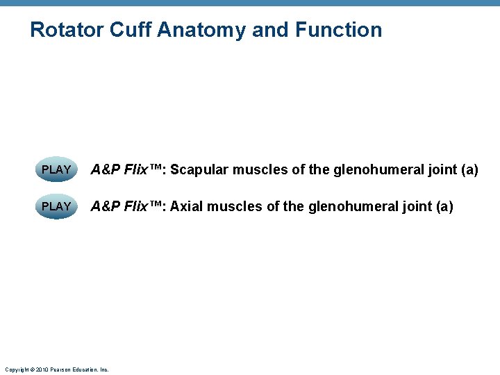 Rotator Cuff Anatomy and Function PLAY A&P Flix™: Scapular muscles of the glenohumeral joint Rotator Cuff Anatomy and Function PLAY A&P Flix™: Scapular muscles of the glenohumeral joint