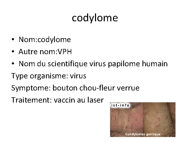 codylome • Nom: codylome • Autre nom: VPH • Nom du scientifique virus papilome