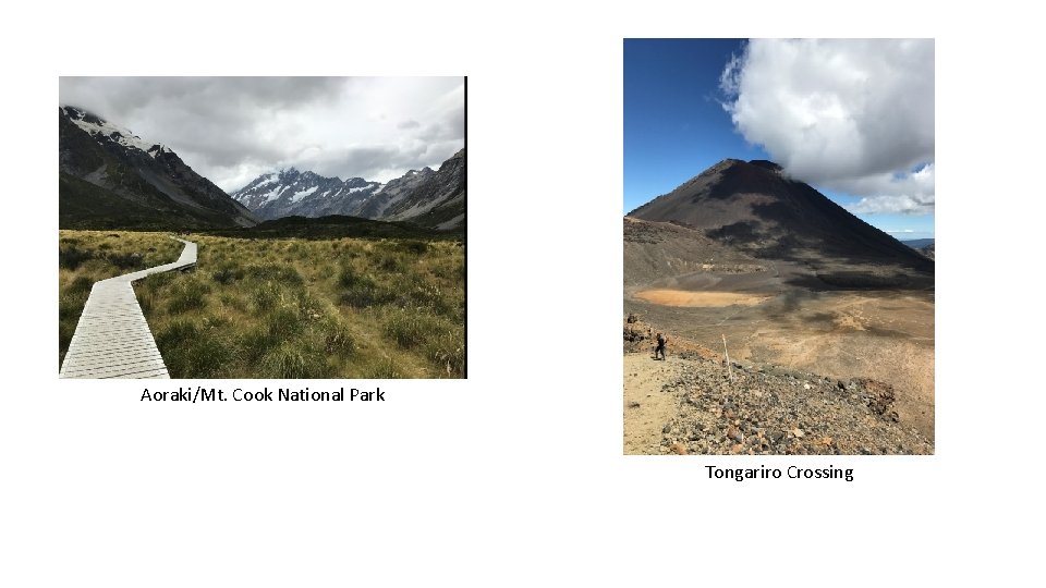 Aoraki/Mt. Cook National Park Tongariro Crossing 