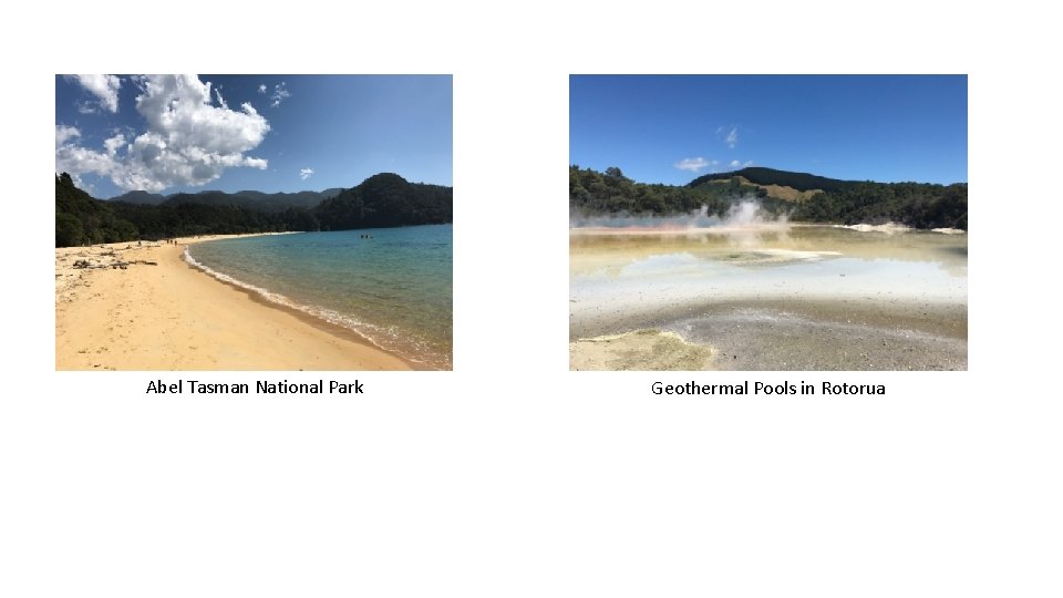 Abel Tasman National Park Geothermal Pools in Rotorua 