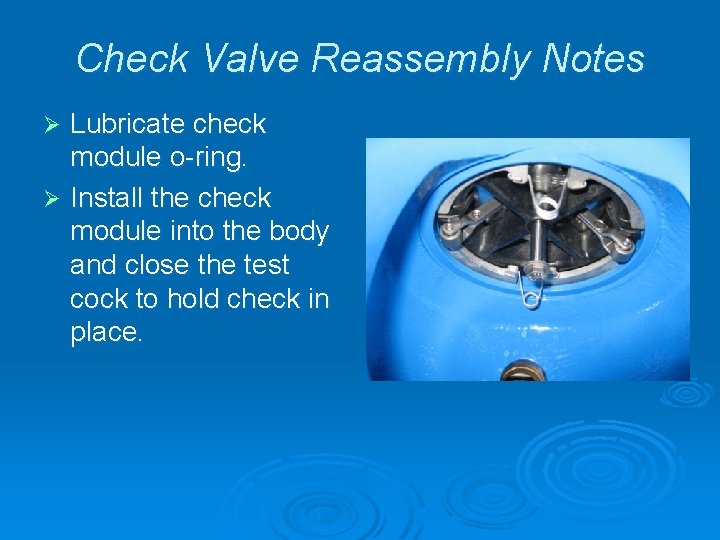 Check Valve Reassembly Notes Lubricate check module o-ring. Ø Install the check module into