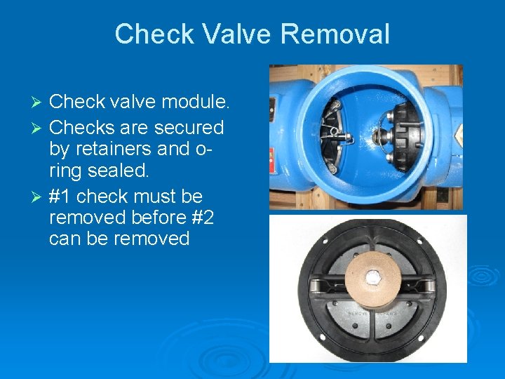 Check Valve Removal Check valve module. Ø Checks are secured by retainers and oring