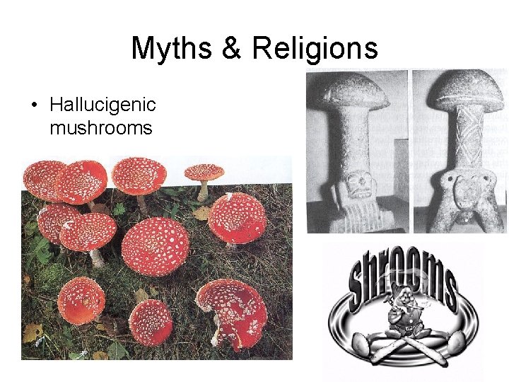 Myths & Religions • Hallucigenic mushrooms 