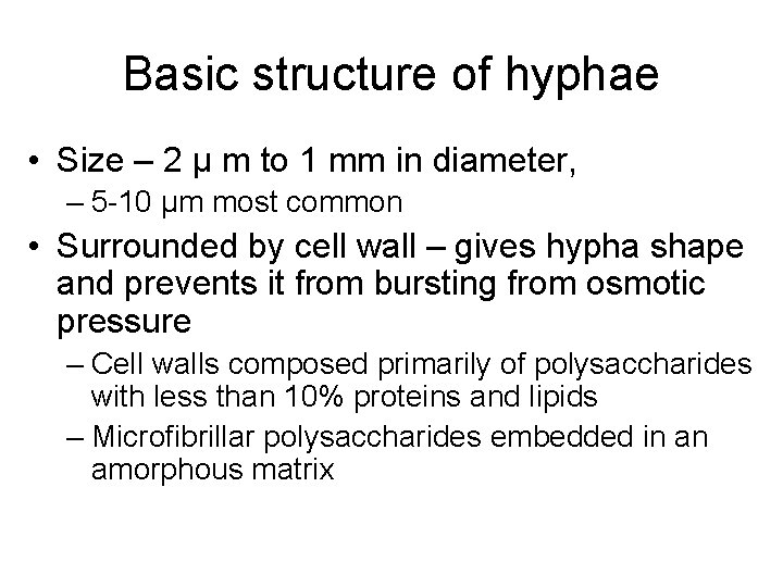 Basic structure of hyphae • Size – 2 μ m to 1 mm in