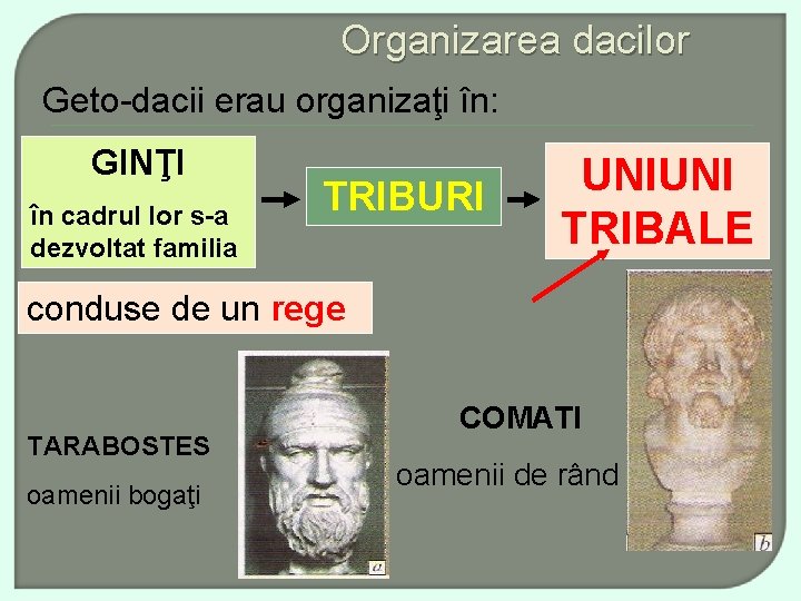 Organizarea dacilor Geto-dacii erau organizaţi în: GINŢI în cadrul lor s-a dezvoltat familia TRIBURI
