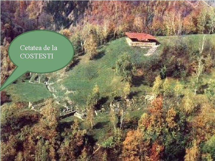 Cetatea de la COSTESTI 