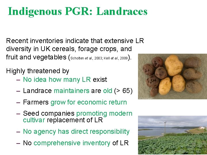 Indigenous PGR: Landraces Recent inventories indicate that extensive LR diversity in UK cereals, forage