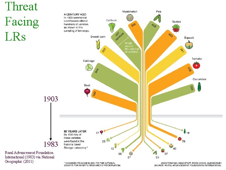 Threat Facing LRs 1903 1983 Rural Advancement Foundation International (1983) via National Geographic (2011)