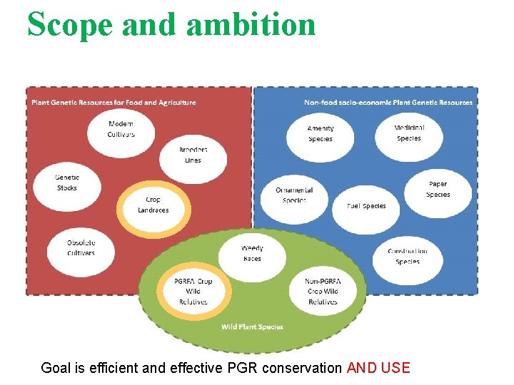 Scope and ambition o Scope: LR, CWR, MP & WHS Goal is efficient and