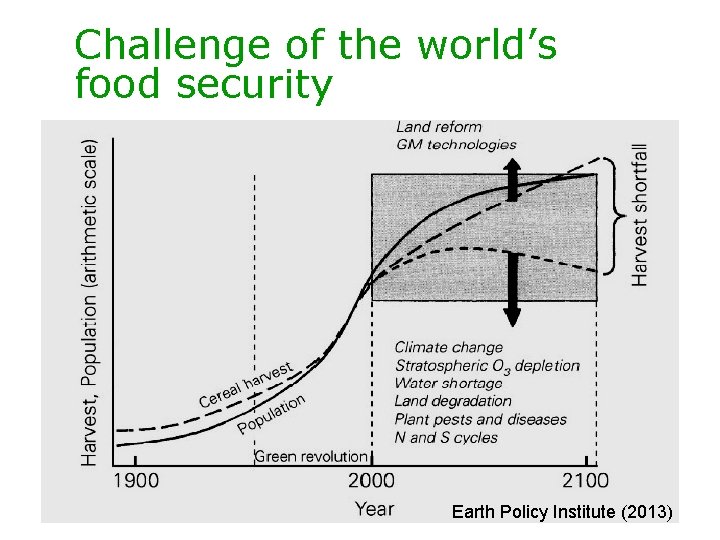 Challenge of the world’s food security Earth Policy Institute (2013) 