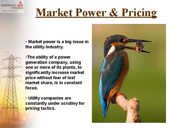Market Power & Pricing • Market power is a big issue in the utility