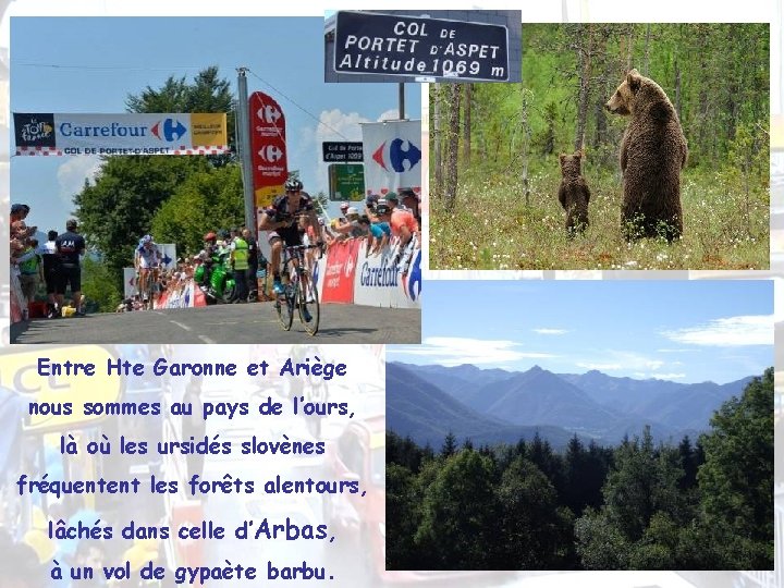 Entre Hte Garonne et Ariège nous sommes au pays de l’ours, là où les