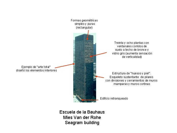 Formas geométricas simples y puras (rectangular) Treinta y ocho plantas con ventanales corridos de Formas geométricas simples y puras (rectangular) Treinta y ocho plantas con ventanales corridos de