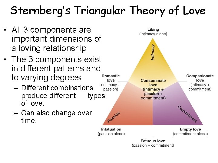 Sternberg’s Triangular Theory of Love • All 3 components are important dimensions of a