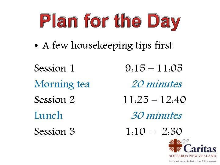 Plan for the Day • A few housekeeping tips first Session 1 Morning tea