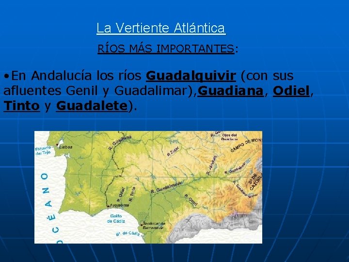 La Vertiente Atlántica RÍOS MÁS IMPORTANTES: • En Andalucía los ríos Guadalquivir (con sus