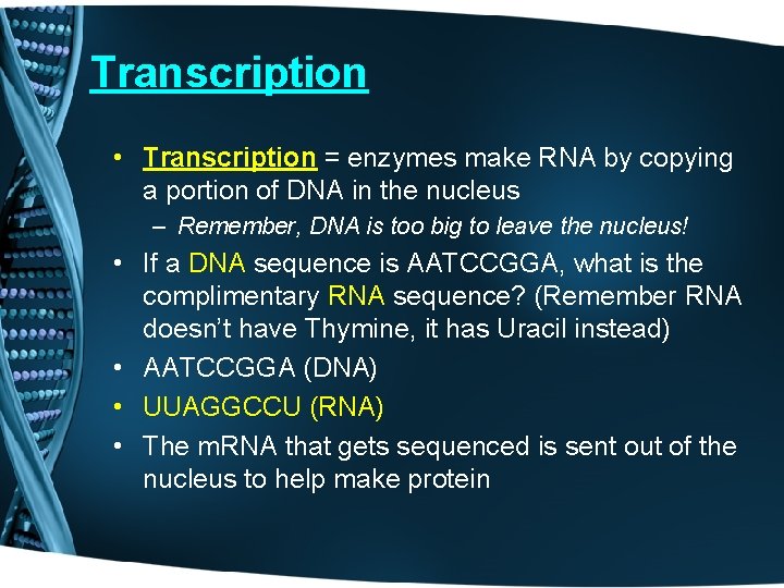 Transcription • Transcription = enzymes make RNA by copying a portion of DNA in