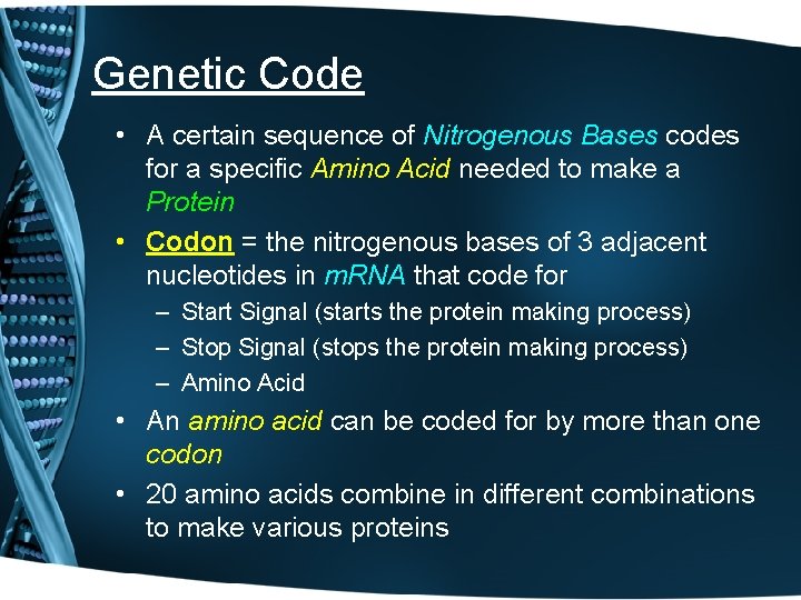 Genetic Code • A certain sequence of Nitrogenous Bases codes for a specific Amino