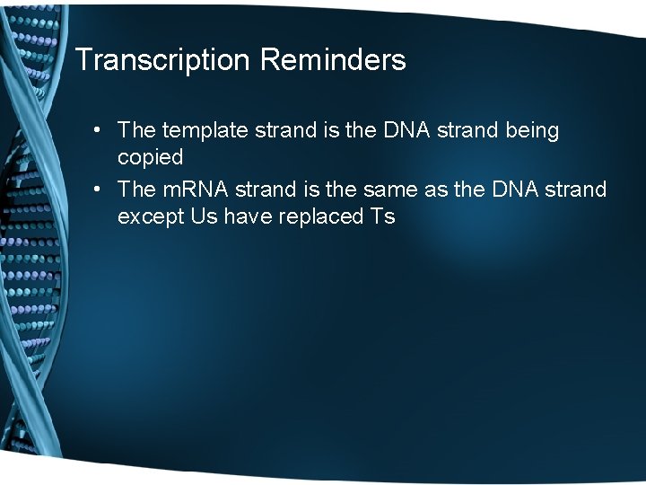 Transcription Reminders • The template strand is the DNA strand being copied • The
