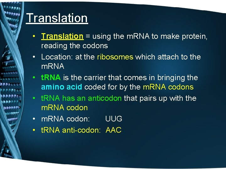 Translation • Translation = using the m. RNA to make protein, reading the codons