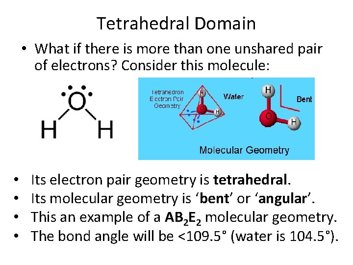 Tetrahedral Domain • What if there is more than one unshared pair of electrons?