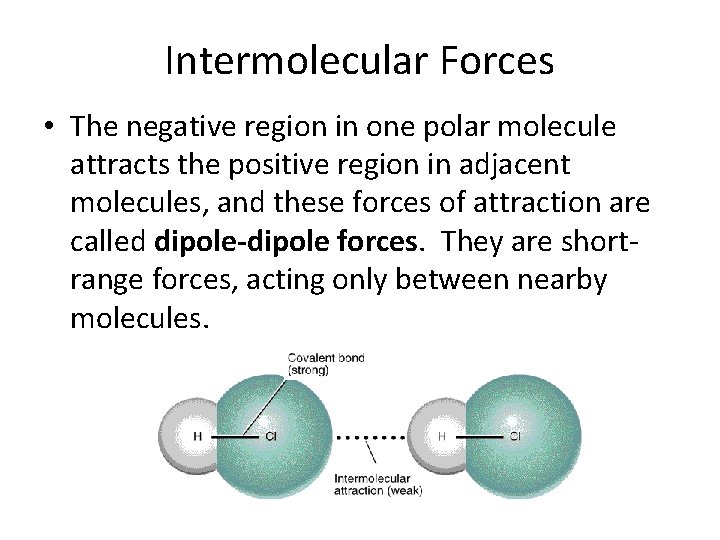 Intermolecular Forces • The negative region in one polar molecule attracts the positive region