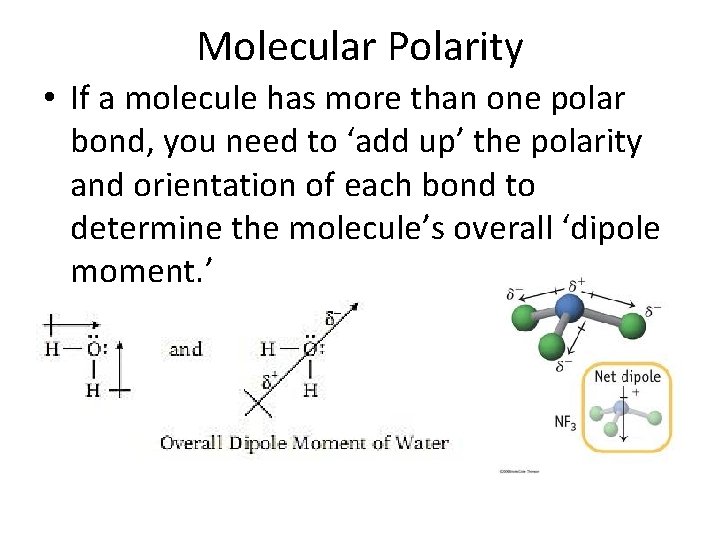 Molecular Polarity • If a molecule has more than one polar bond, you need