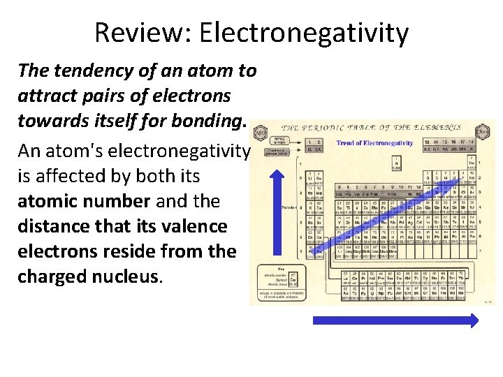 Review: Electronegativity The tendency of an atom to attract pairs of electrons towards itself