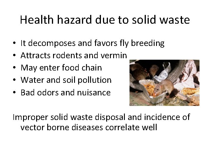 Health hazard due to solid waste • • • It decomposes and favors fly