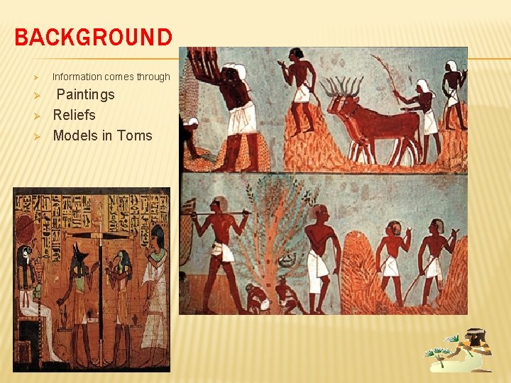 BACKGROUND Ø Ø Information comes through Paintings Reliefs Models in Toms Scribe Egyptian getting
