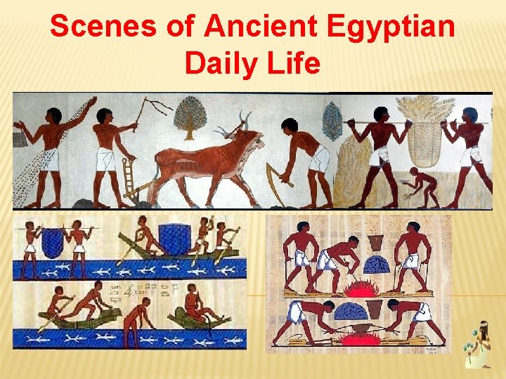 Scenes of Ancient Egyptian Daily Life 