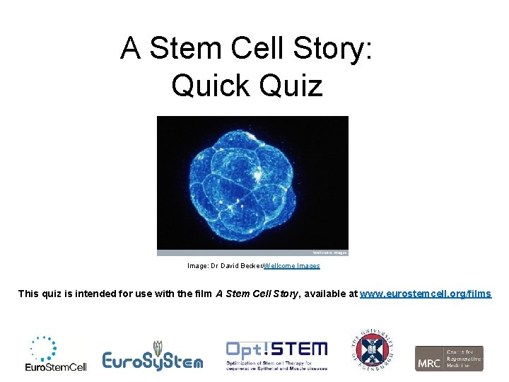 A Stem Cell Story: Quick Quiz Image: Dr David Becker/Wellcome Images This quiz is