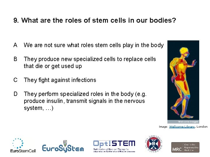 9. What are the roles of stem cells in our bodies? A We are