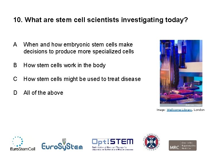 10. What are stem cell scientists investigating today? A When and how embryonic stem
