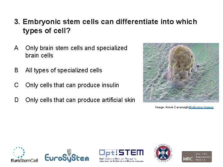 3. Embryonic stem cells can differentiate into which types of cell? A Only brain