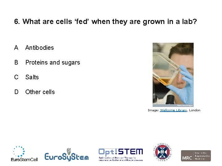 6. What are cells ‘fed’ when they are grown in a lab? A Antibodies